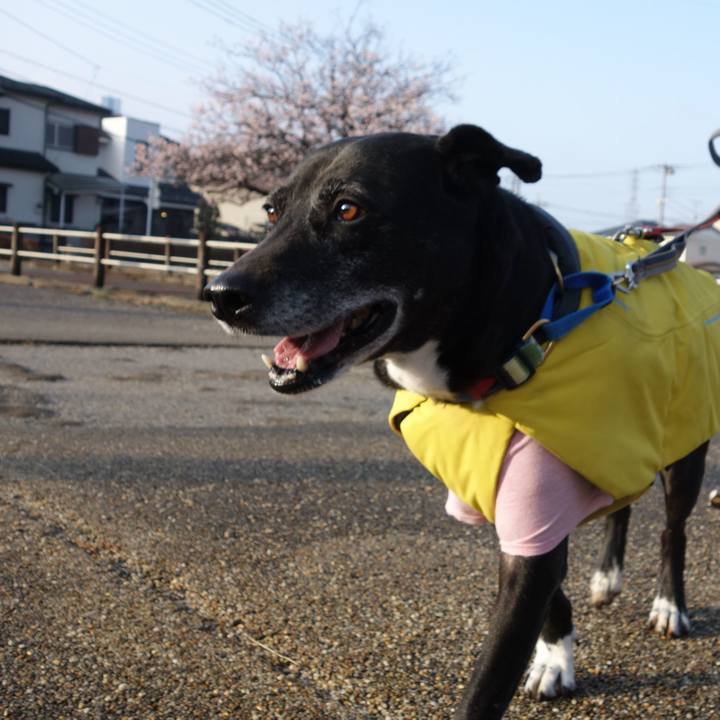 7d89a159 29fc 4645 b0e8 9c7926d7f895 1741475978902