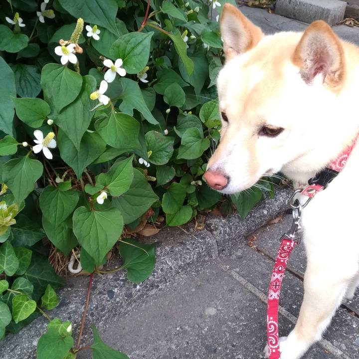 7d89b4bb 46fe 449f 975e abd3f41999e6 1526890673057