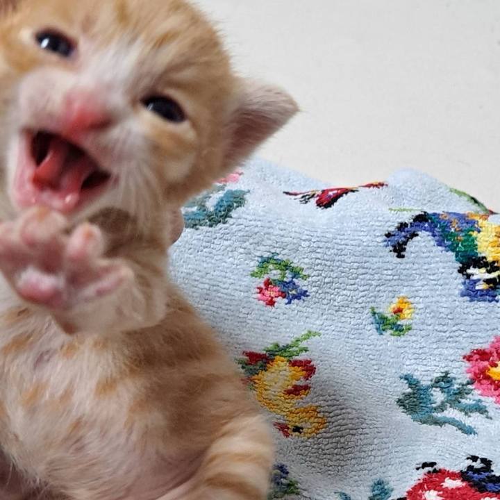 7d89f8e1 1ee7 4162 bb9b 28e5c0e869f1 1713508679464