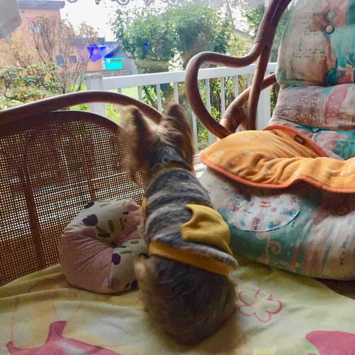 7d8a293d f9cb 446e b055 6f64dabb1677 1538899969479