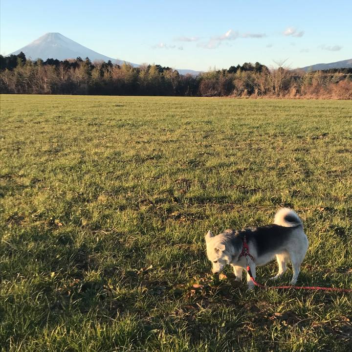 7d8a3538 4ac3 46f3 9310 11331fc54207 1609766835610