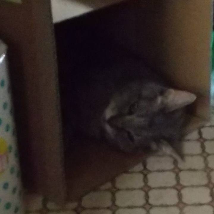 7d8a36ee 6df6 4848 8e56 75d96228b526 1692322170300