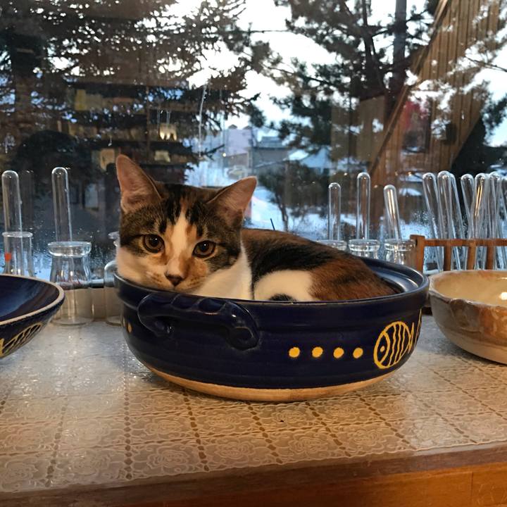 7d8a4d67 5f49 4237 b08f 147310ce6d49 1608327780595