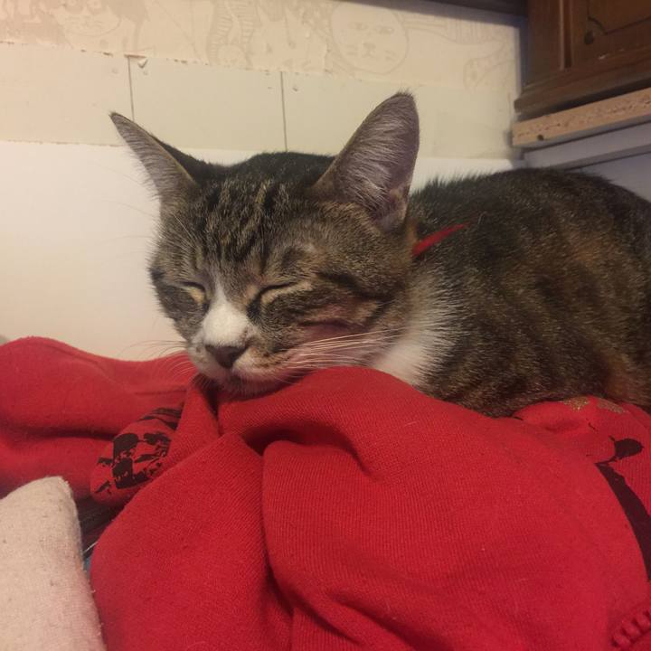 7d8a4e6a 9939 42f6 9fee a7a1f72d4ddf 1570297153742