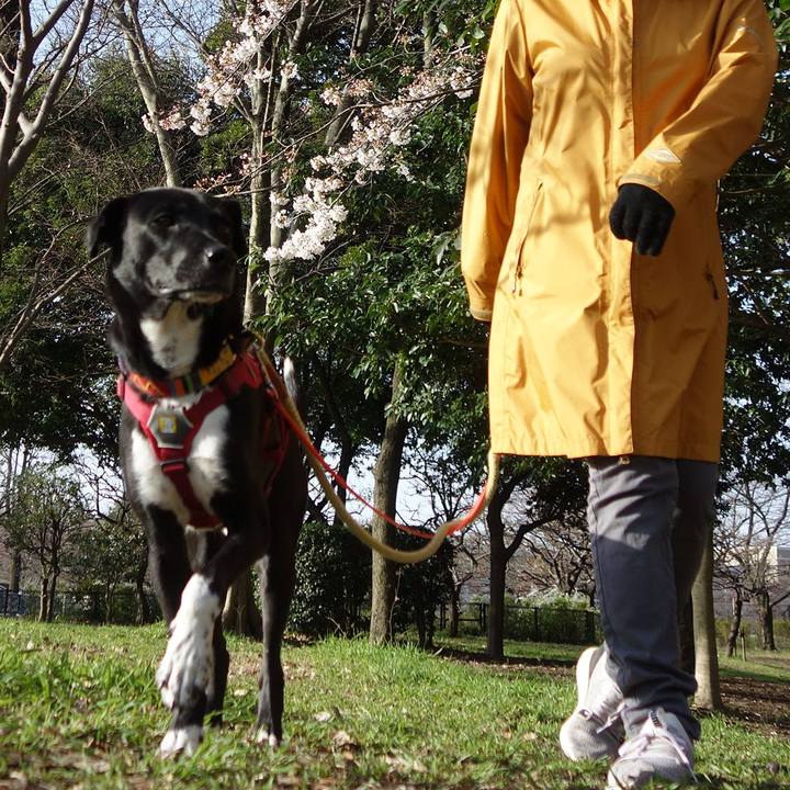 7d8a53bb 0990 49be ac5e 8e6cbdfc19f1 1584750994123