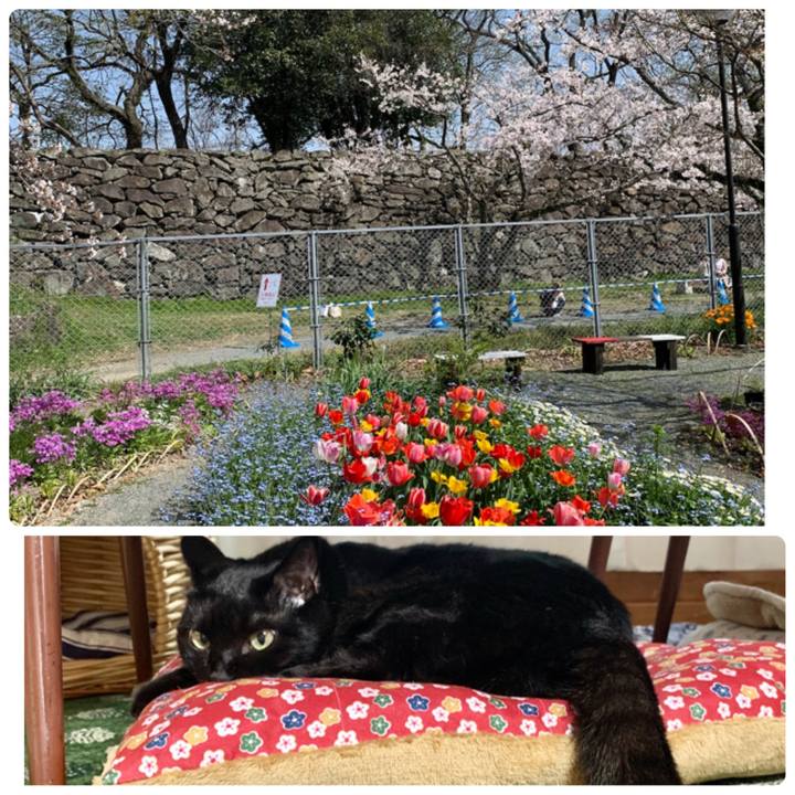 7d8a59ab e5a9 429c 8406 ce26834849cd 1616483650889