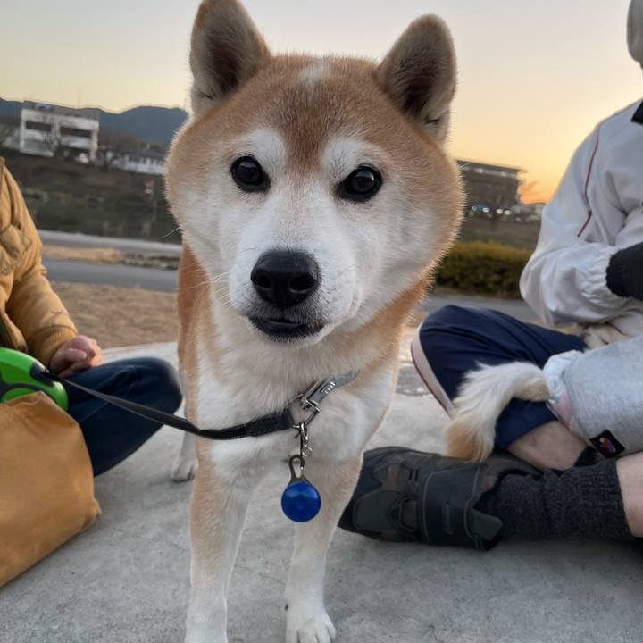 7d8a6317 d50c 4d69 8341 c868f6772de2 1673433257860