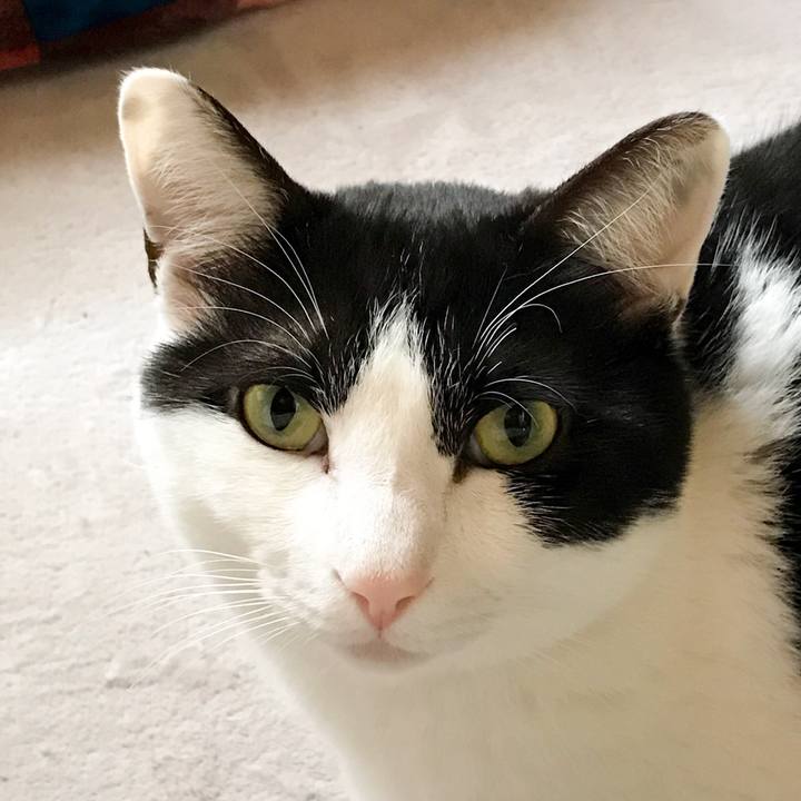 7d8a6bee fc2a 4642 848a 20044c1addff 1524273108002