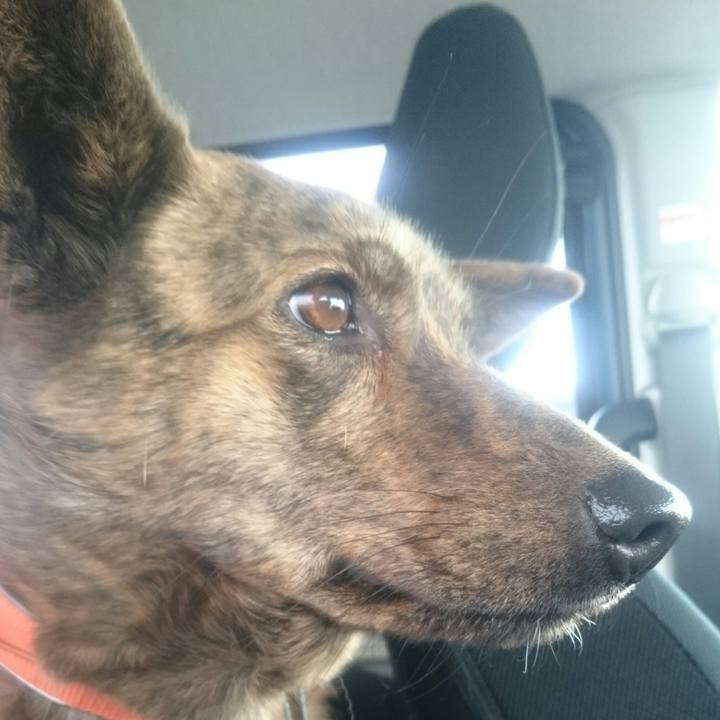 7d8a7fbb 85c9 40fa 85eb 8f5f68d82eec 1519283148202