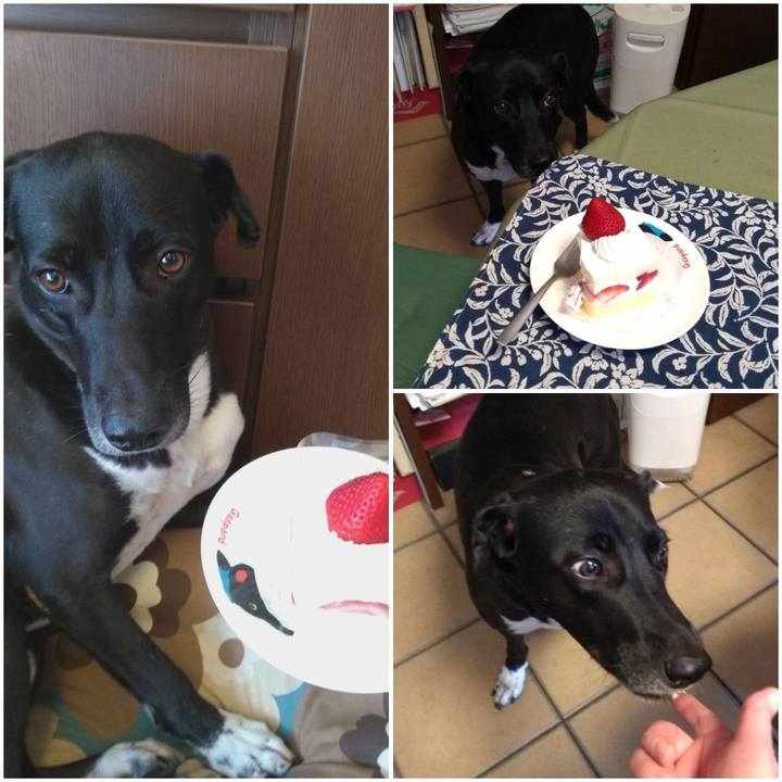 7d8a8282 bab8 426a be5c 4c11f007b9c2 1602478486654