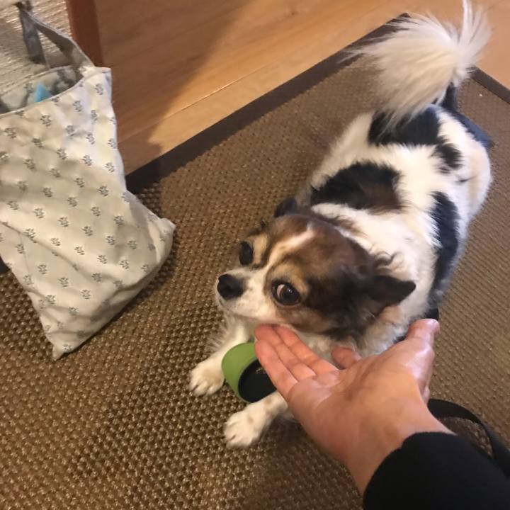 7d8ab86e 14da 4740 923a 87b92b044ca7 1636161518577