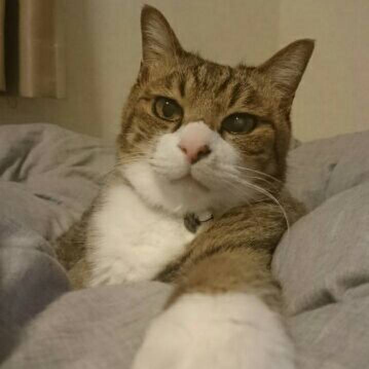 7d8ad522 39c8 41c3 b827 592df020237e 1529677310483