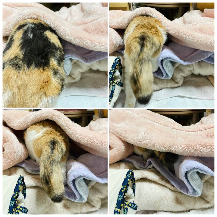 7d8af0ec f56b 4cb5 ba77 ee2bfe6a5cd5 1642386532898