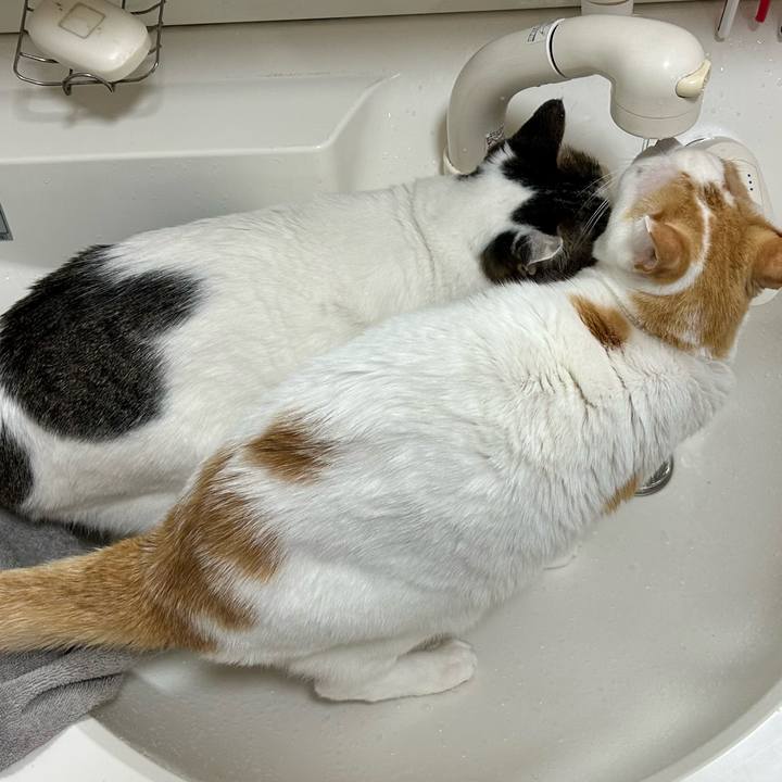 7d8b1382 74ad 4401 9d3a c00ebdf44200 1675890597644