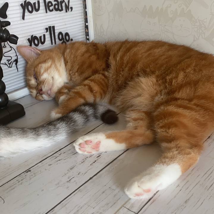 7d8b3f5a bd13 42a4 a719 870fd96d09e6 1597022609056