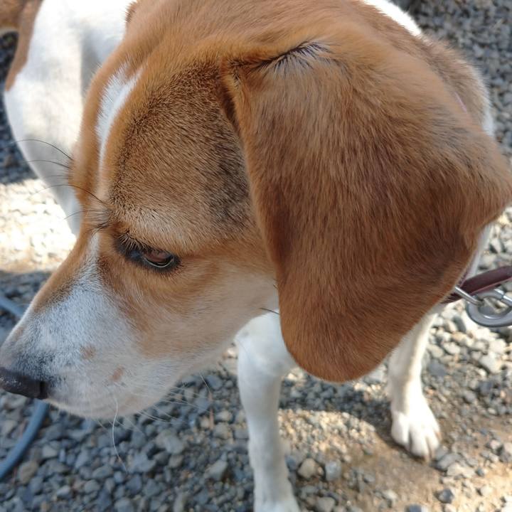 7d8b440c 7dfb 478b 9a9a b4e24f9527b9 1587633329238