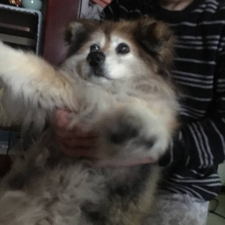 7d8b4f17 daaa 4e1f 9754 330ca87f473c 1601129790350