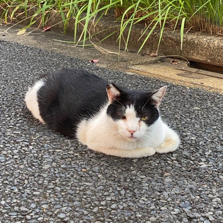 7d8b9530 f436 4763 b9f5 98f795e4a3b0 1666511445697