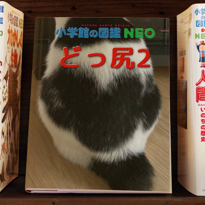 7d8ba4e7 48f0 4236 8f7e ae0618b48428 1578228170552