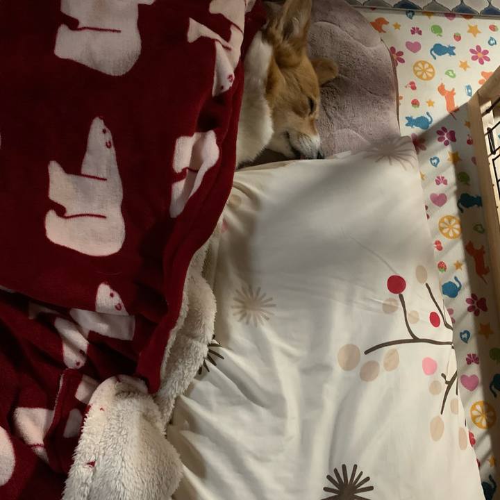 7d8c2038 7212 4792 976a 090dd795f5f7 1639700205563