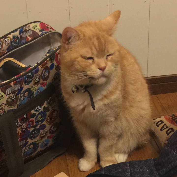 7d8c38b4 80f7 4b61 890d ce3fbdbad37f 1557068966590