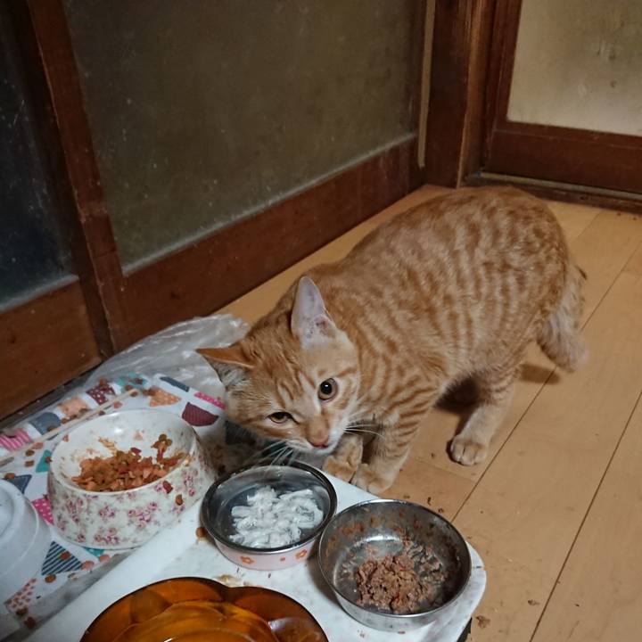 7d8c78c3 7c17 40c9 a799 43bd1c4e2908 1637661127706