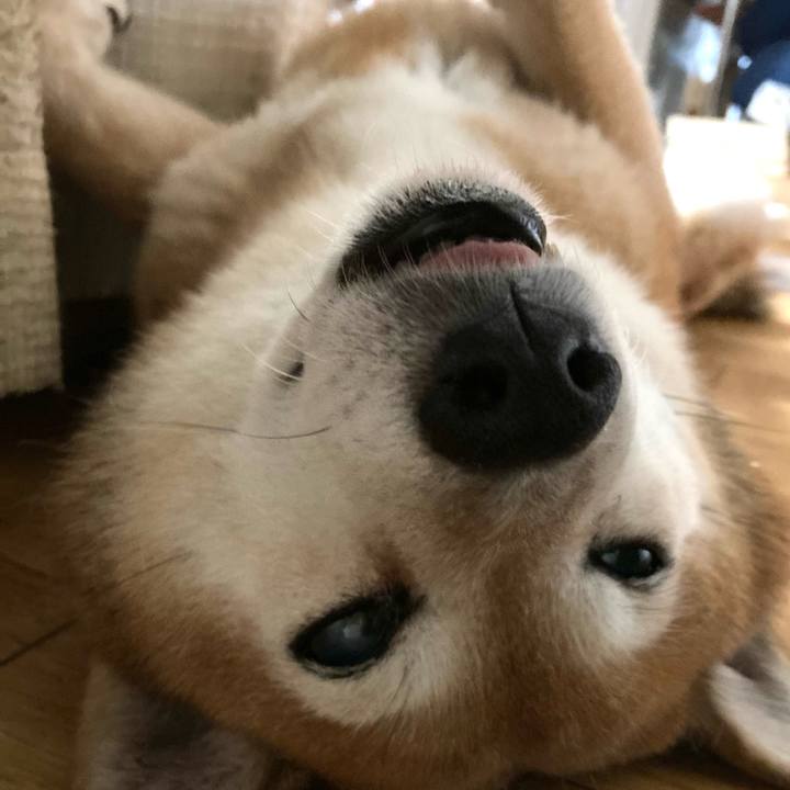 7d8c86c8 16d3 45af 9695 9f85b4099333 1657347401495