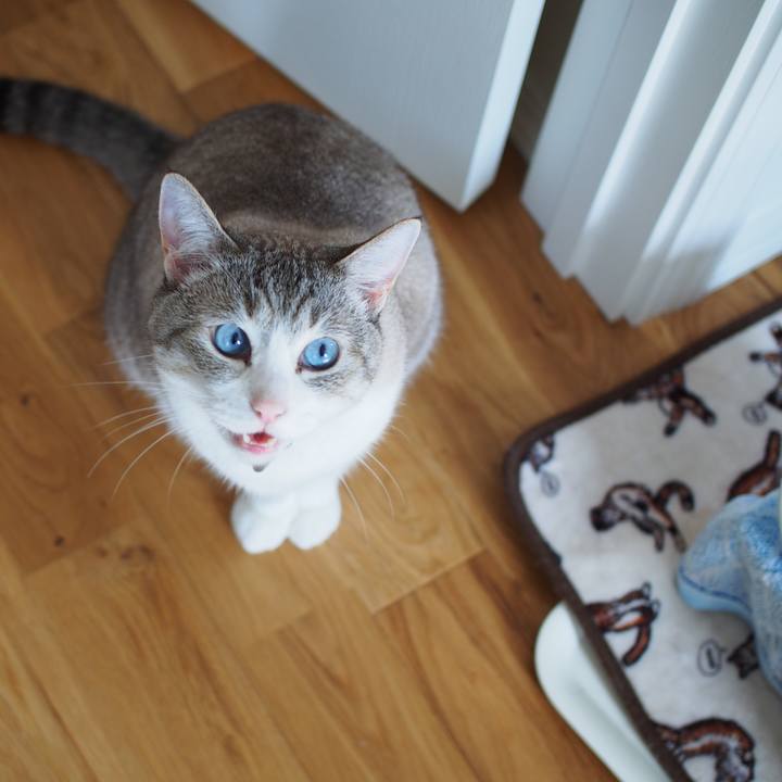 7d8ca92d b7f0 4aa0 b951 87f1a0be27bd 1593826108895