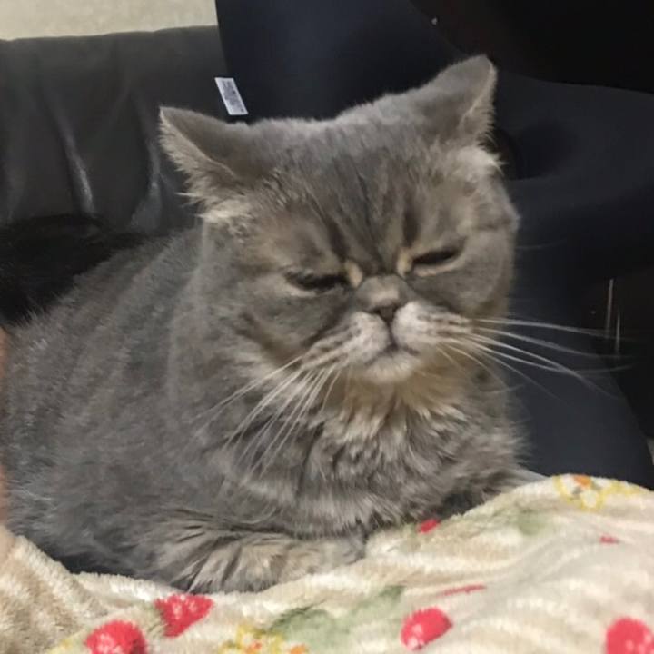 7d8d2685 5b1f 4111 a7a6 8431eb479148 1544340013114