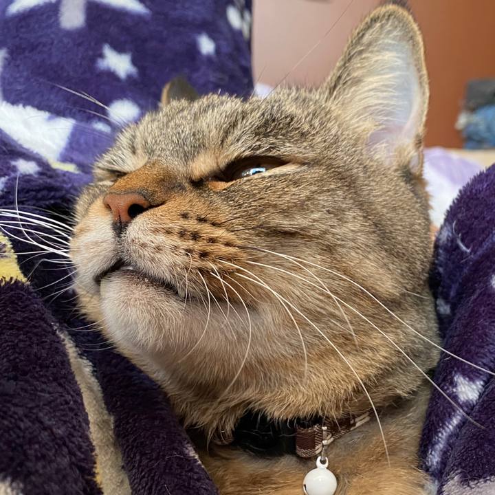 7d8d3d1a 0ed0 417a 9c66 d19ce211e38b 1606615517116