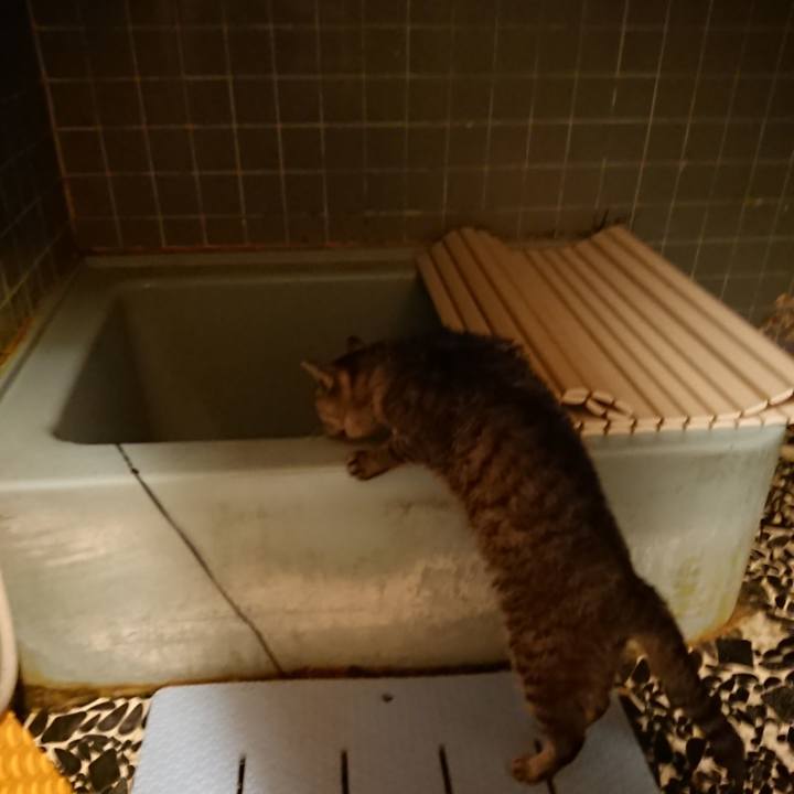 7d8d5260 aea3 4a9e b658 9e600eb90ba2 1574069587606