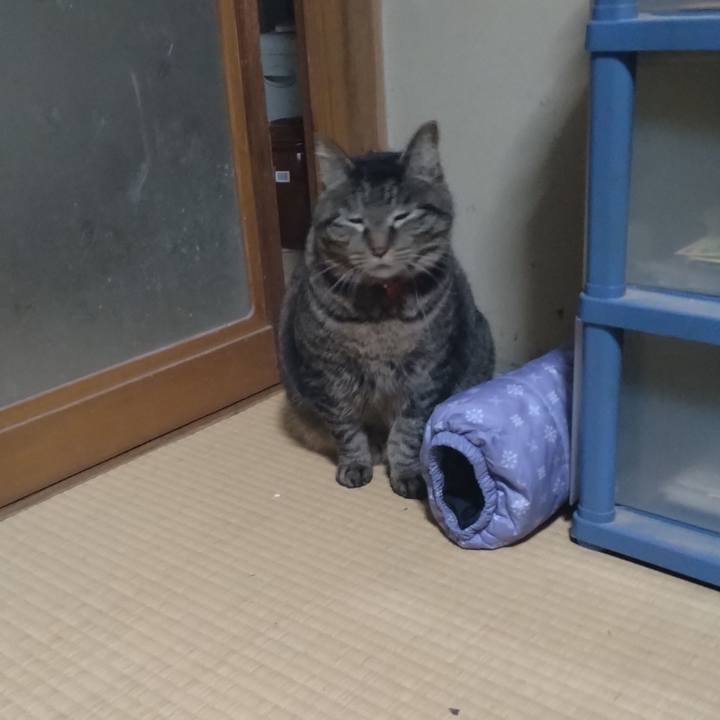 7d8d5a7c ee1e 4c55 aeca 352b6307433b 1677667611667