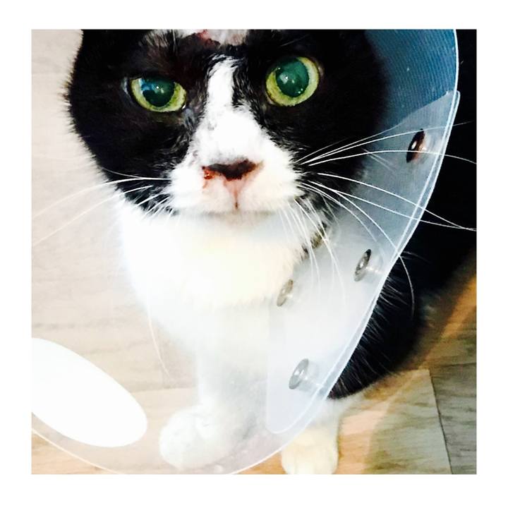 7d8d67fc aacf 4175 94dc 51e035630fa3 1579071316147