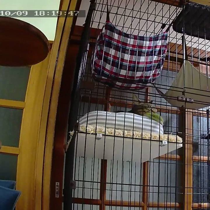 7d8da8a3 91fa 4357 a03e e17c6a89348d 1570612884824