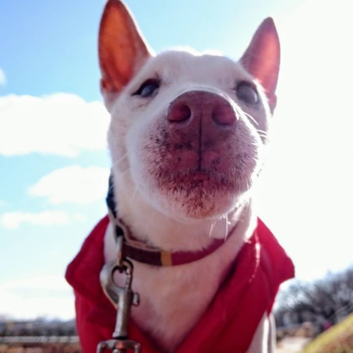 7d8dbacb d93a 452b 9b71 b3077689372d 1557267771787