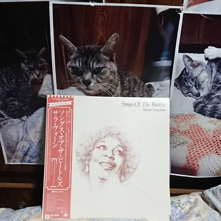 7d8dd23f b356 45a0 b9da 3269974f673e 1614072083712