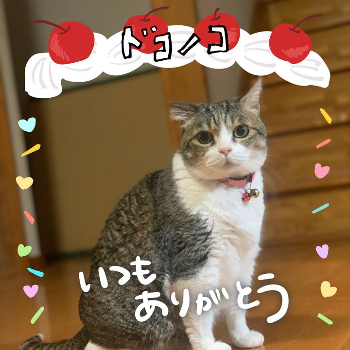 7d8de021 07e8 4998 ace2 d0ec592f0b86 1685966873025