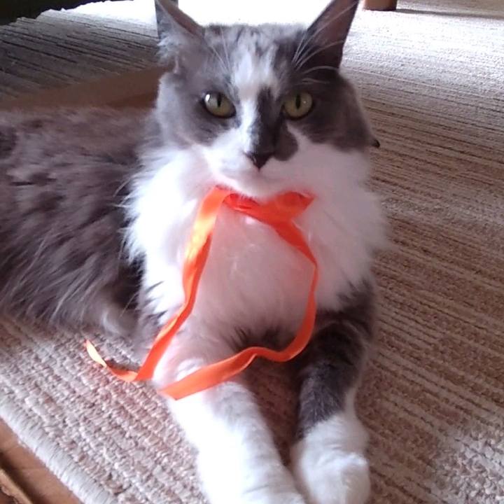 7d8de6df 5c32 435a bd9c 53dd15766905 1664083626622