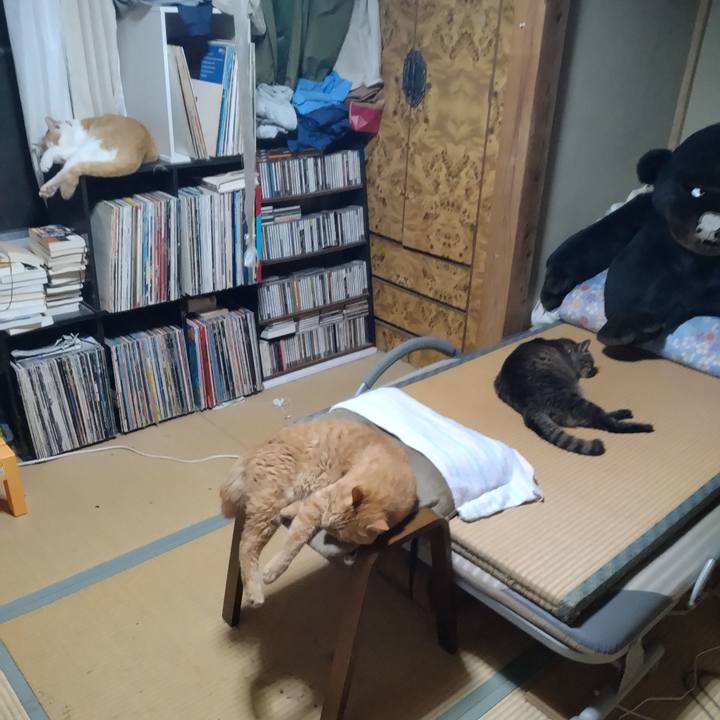 7d8dead9 c1a6 424b 8ce7 ce73bc7cac43 1750852385915