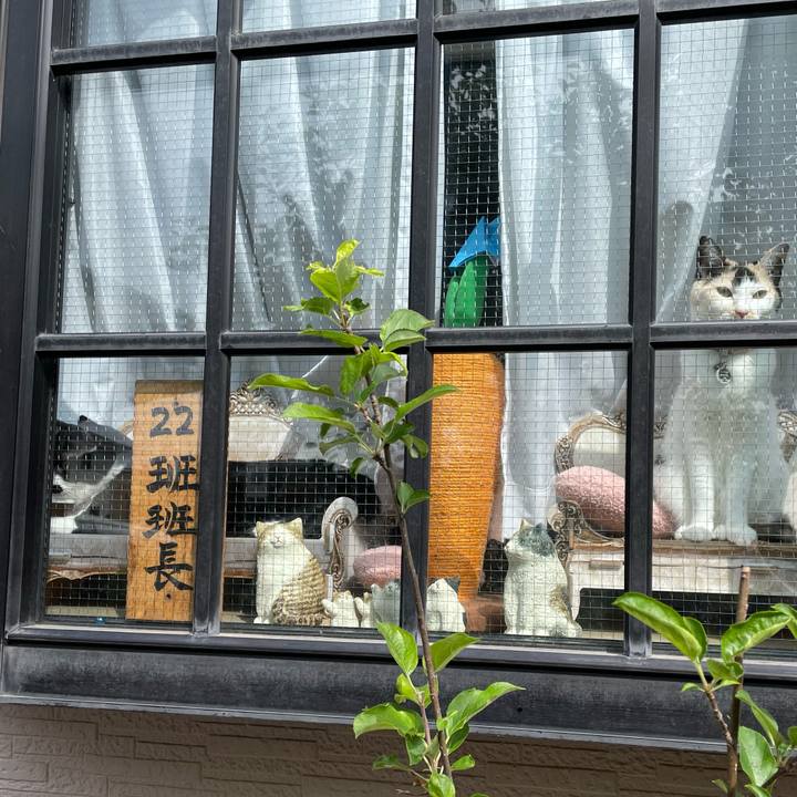 7d8e13f5 45d4 4723 9419 782e6ebae136 1747265678066