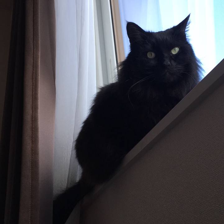 7d8e1821 5ffc 4015 bd8f fb04088b702c 1550690480370