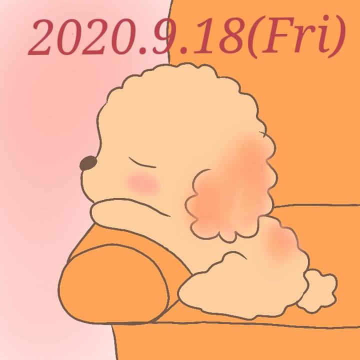 7d8e6d7c e70d 4d55 bdbe b8bb3793d598 1600439749869