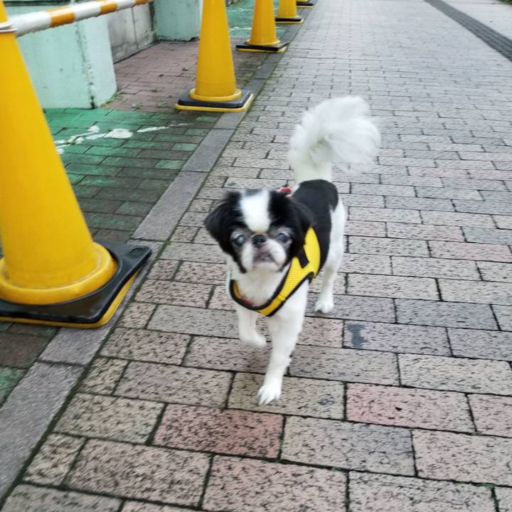 7d8e7bb2 9f55 443a abcf 025e106780f1 1600122751062