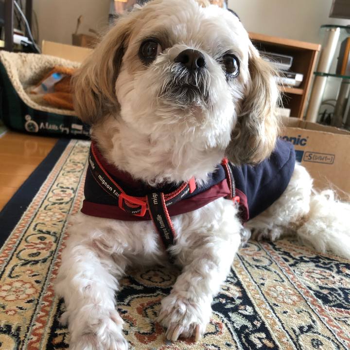 7d8e8ec0 993f 488a 8d82 711b1556072c 1606340905073