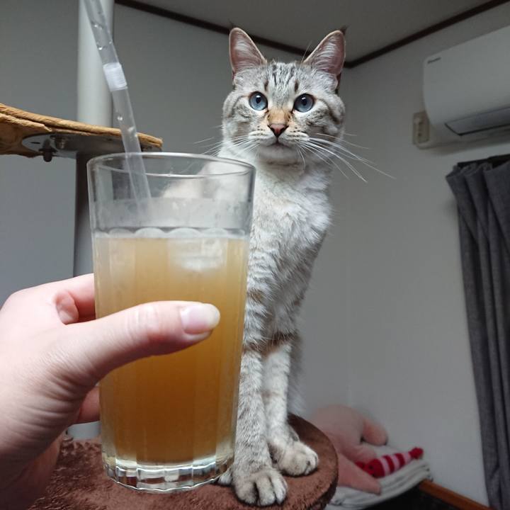 7d8e9b27 1b69 4141 8687 6b3239acb060 1591447894150