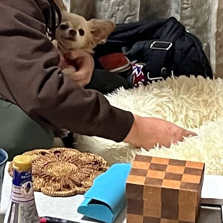 7d8ee2b1 1856 4865 9167 dd7084914317 1735630127823