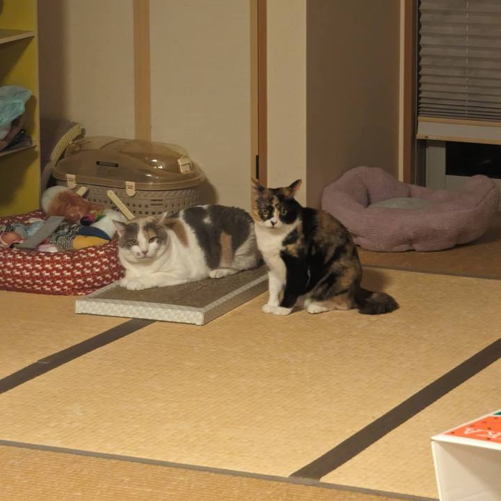 7d8ef209 7cdf 459e 8deb 04e58860b4d4 1715745697261