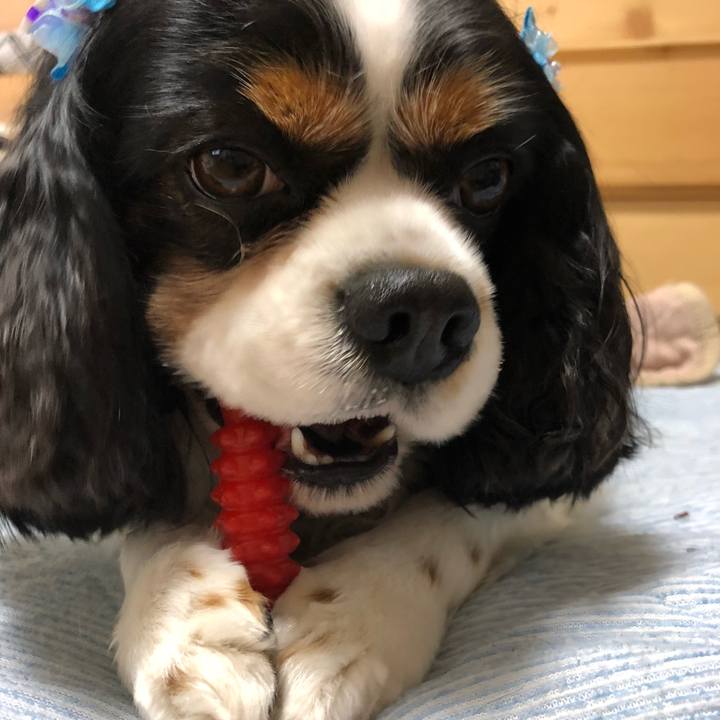 7d8effb2 6655 4009 9eee 825de7417a71 1527675806289