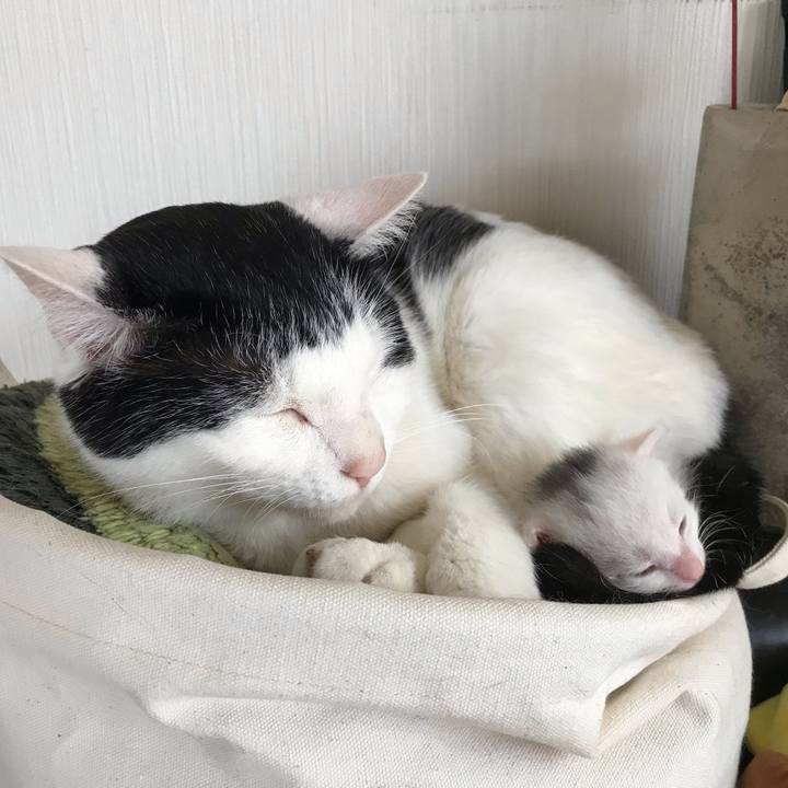 7d8f11be d900 4850 8b44 526f0892e794 1590408674575