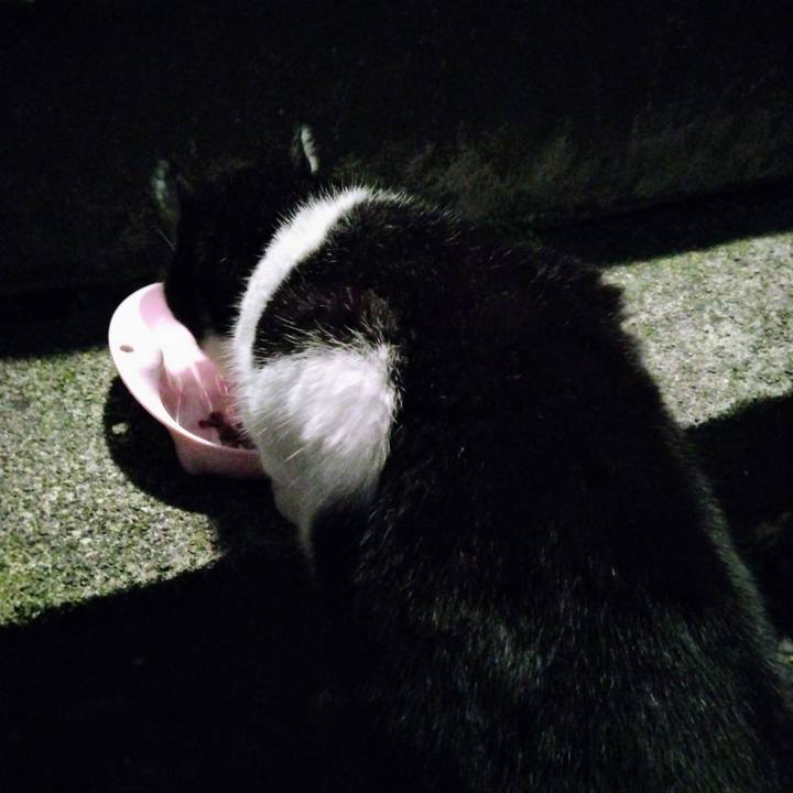 7d8f34a5 f4af 4456 b86b 753c632fbb7b 1700127932688